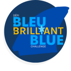 Logo of Brilliant Blue Challenge