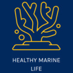 Healthy Marine Life 